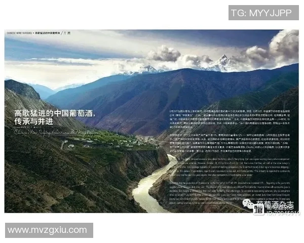 重磅专题：西安足球队如何通过防反革新提升整体战术水平